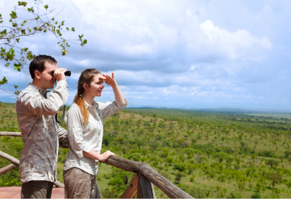 Why Choose a Luxury Safari in Tanzania