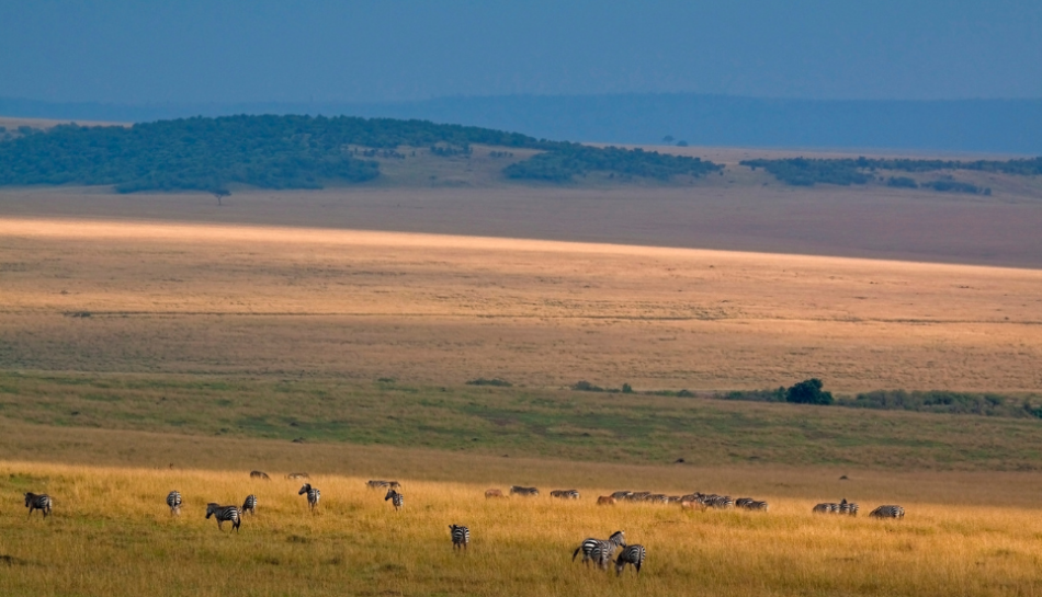 Best Time to Visit Kenya for an Unforgettable Safari Experience